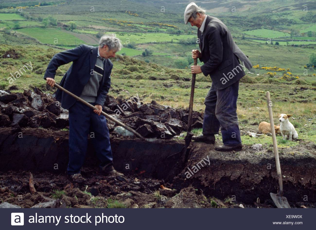 Turf Cutting High Resolution Stock Photography and Images Alamy