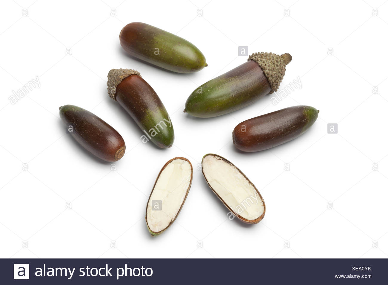 Oak Nuts High Resolution Stock Photography and Images Alamy