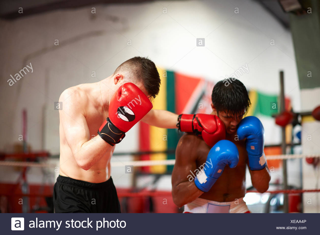 Two Boxers Sparring Stock Photos & Two Boxers Sparring Stock Images Alamy