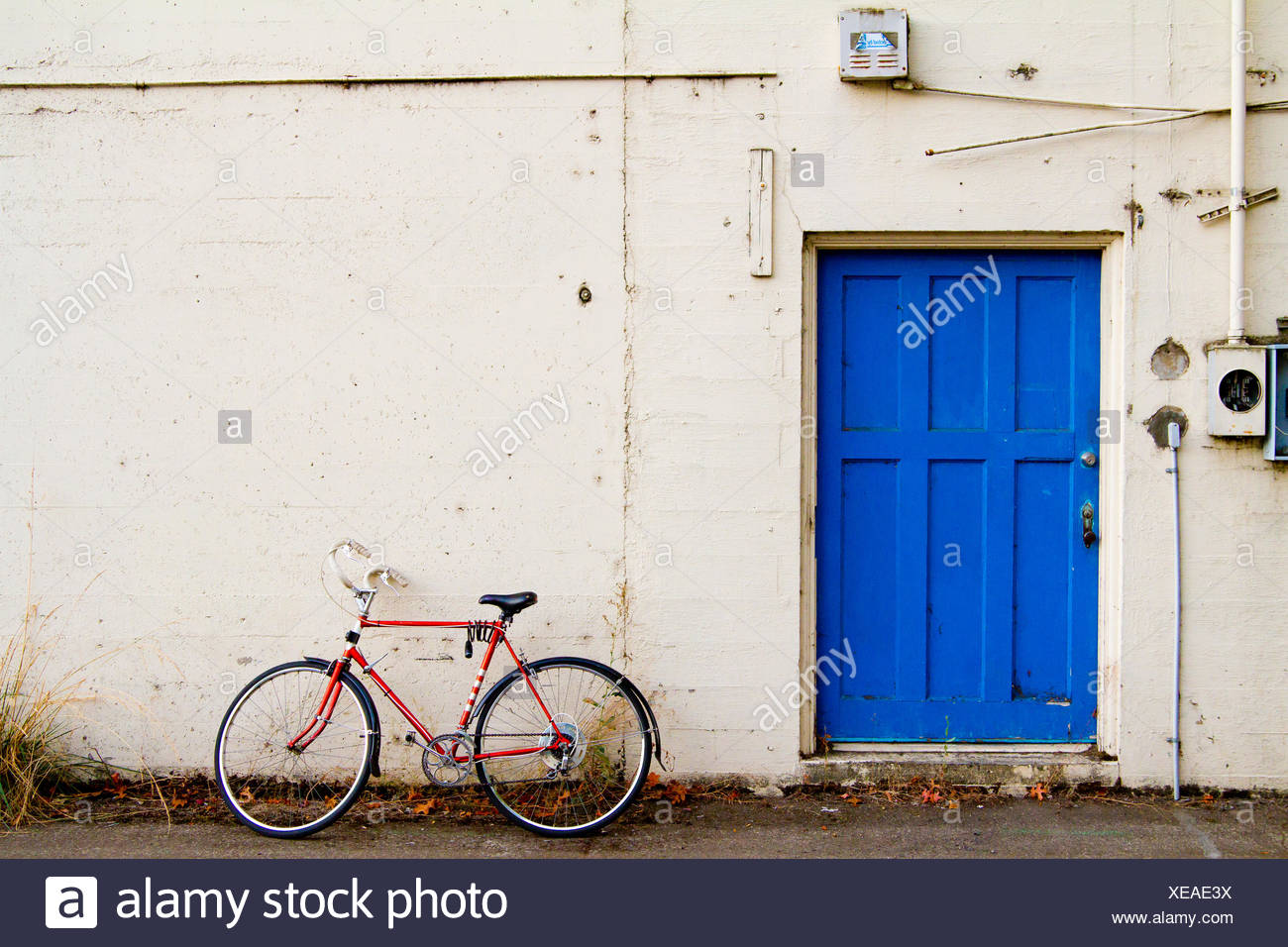 blue door bicycles