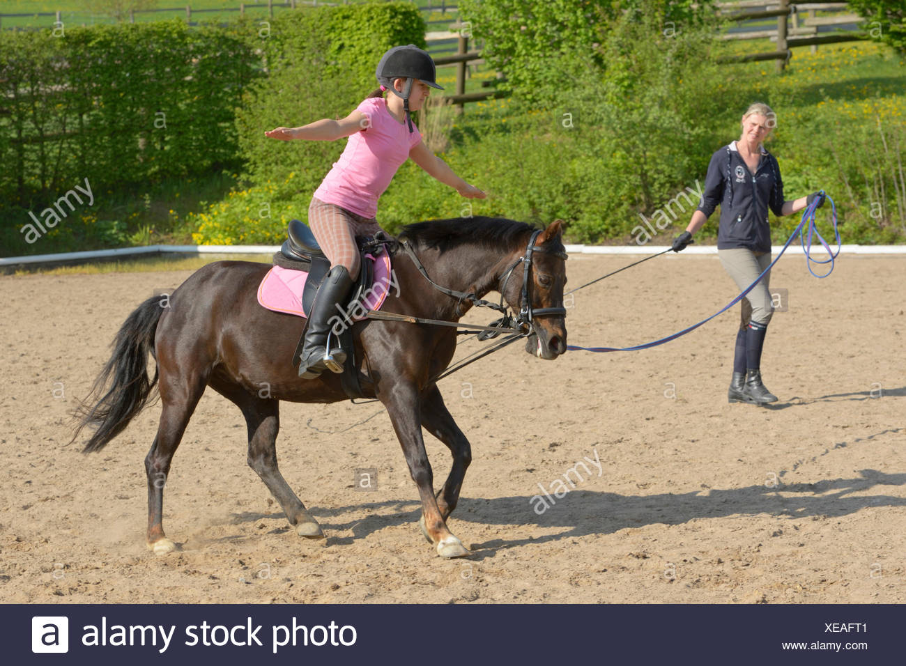 Congratulate, Lunging the adult rider book advise you Can Lunging the adult rider book useful