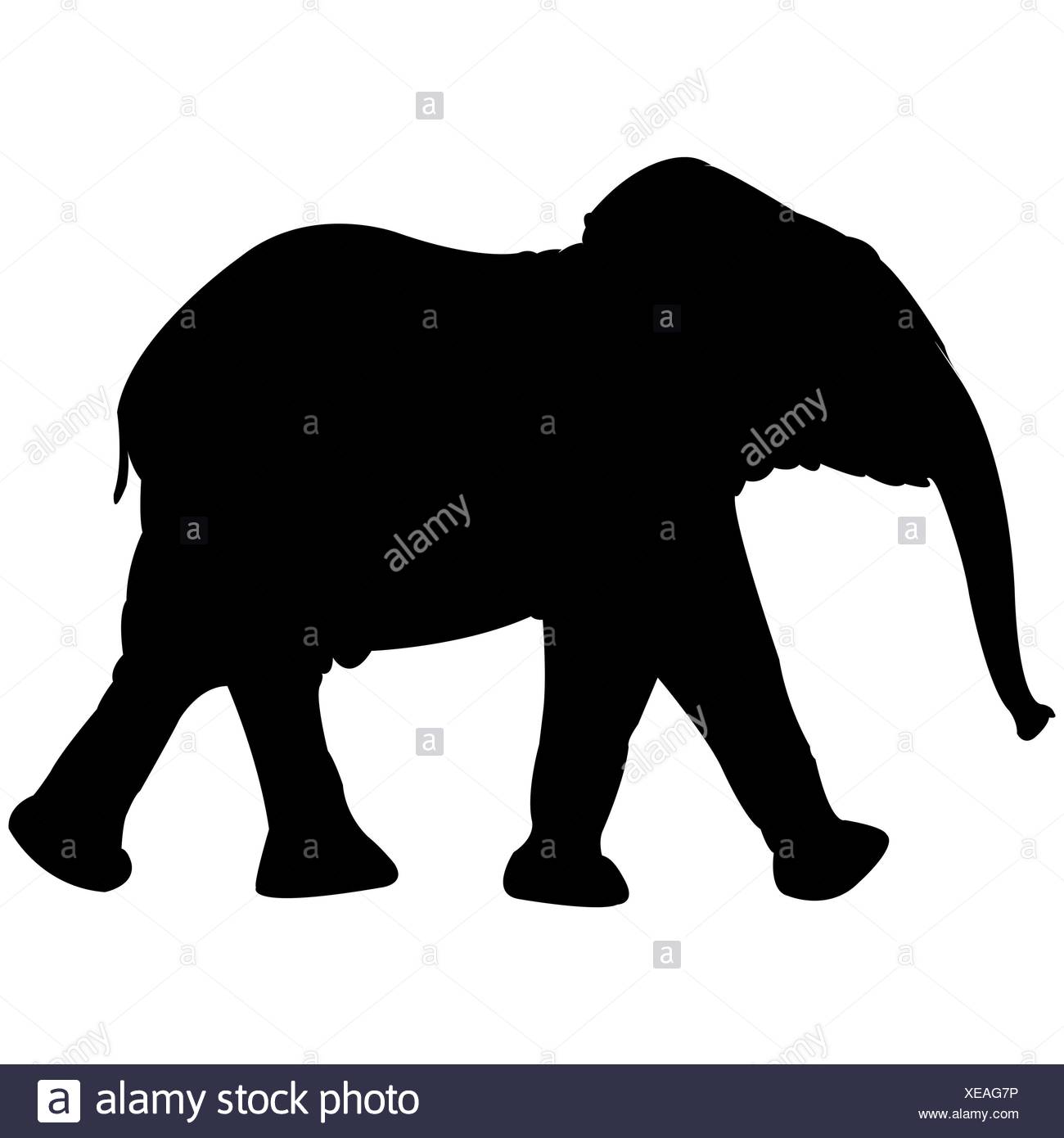 baby elephant silhouette isolated on white Stock Photo ...