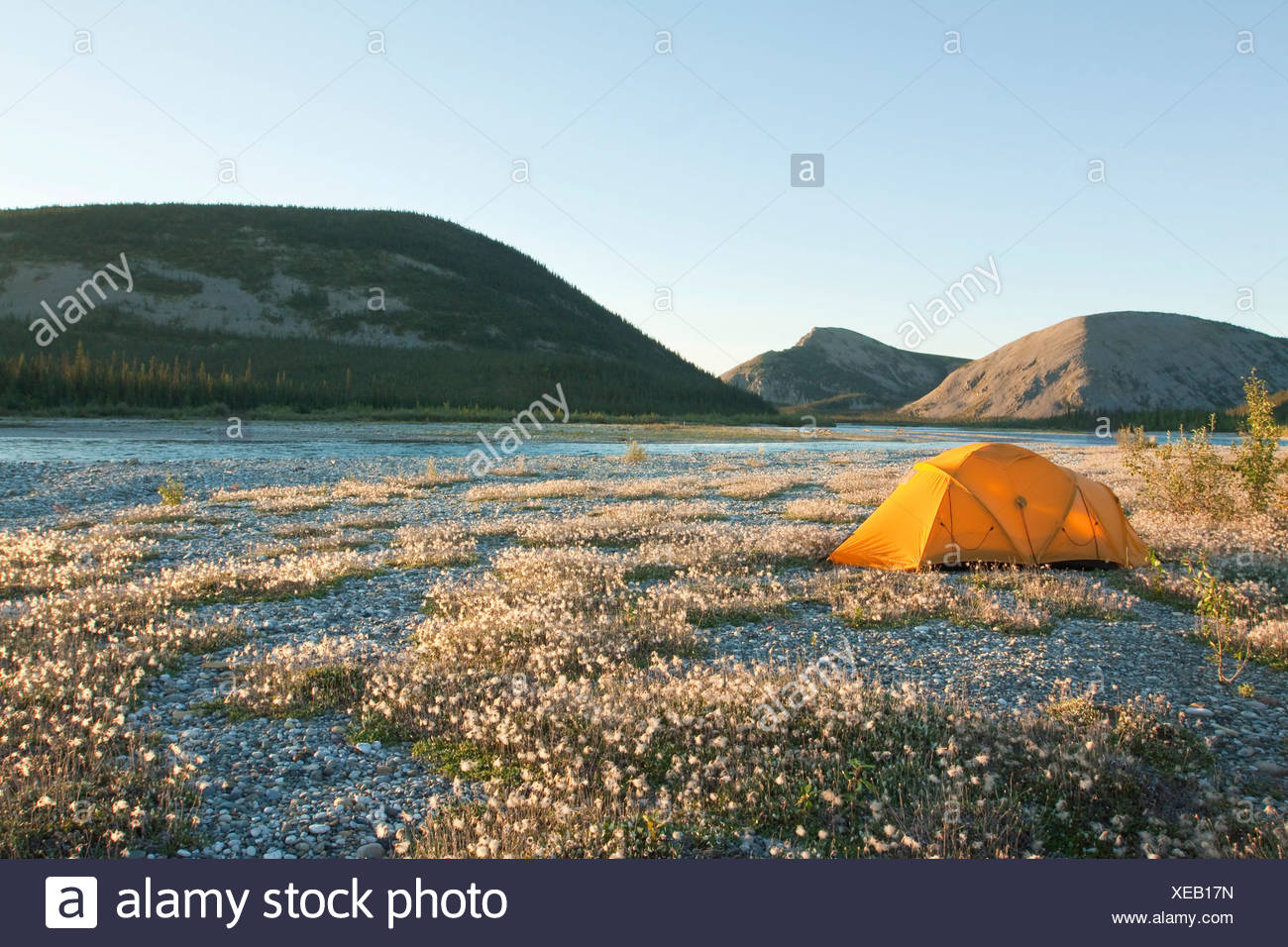 Expedition tent, arctic tundra, cotton grass, camping, Wind River and  Mackenzie Mountains behind, Yukon Territory, Canada Stock Photo - Alamy