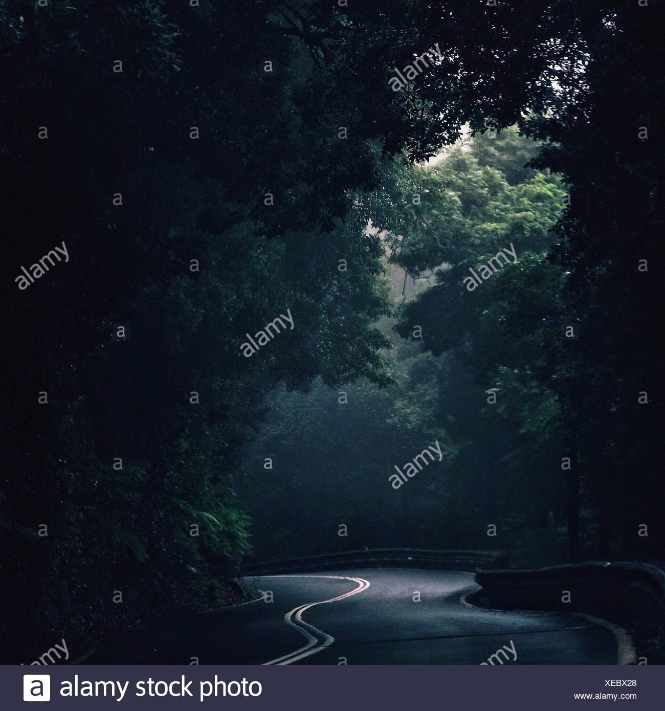 Empty Country Road Stock Photo