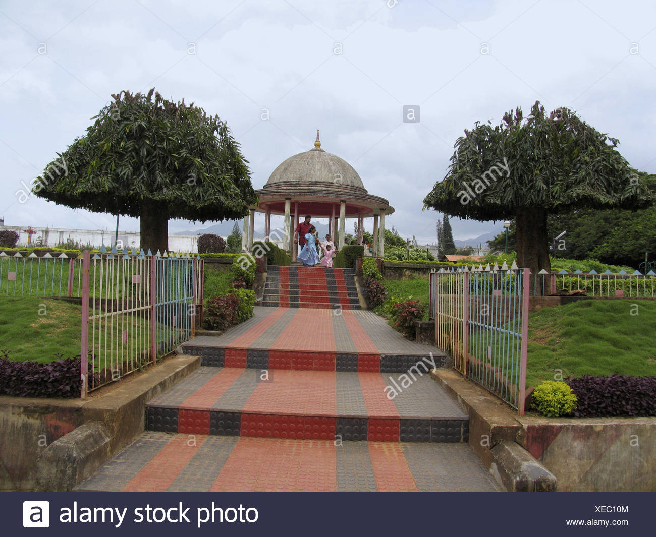 Kerala Garden Flower High Resolution Stock Photography and Images Alamy