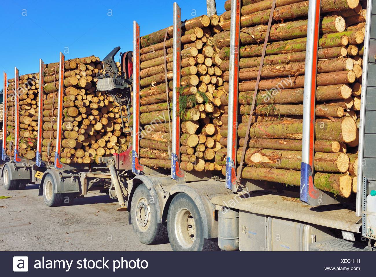 Truck Load Of Logs High Resolution Stock Photography and Images Alamy