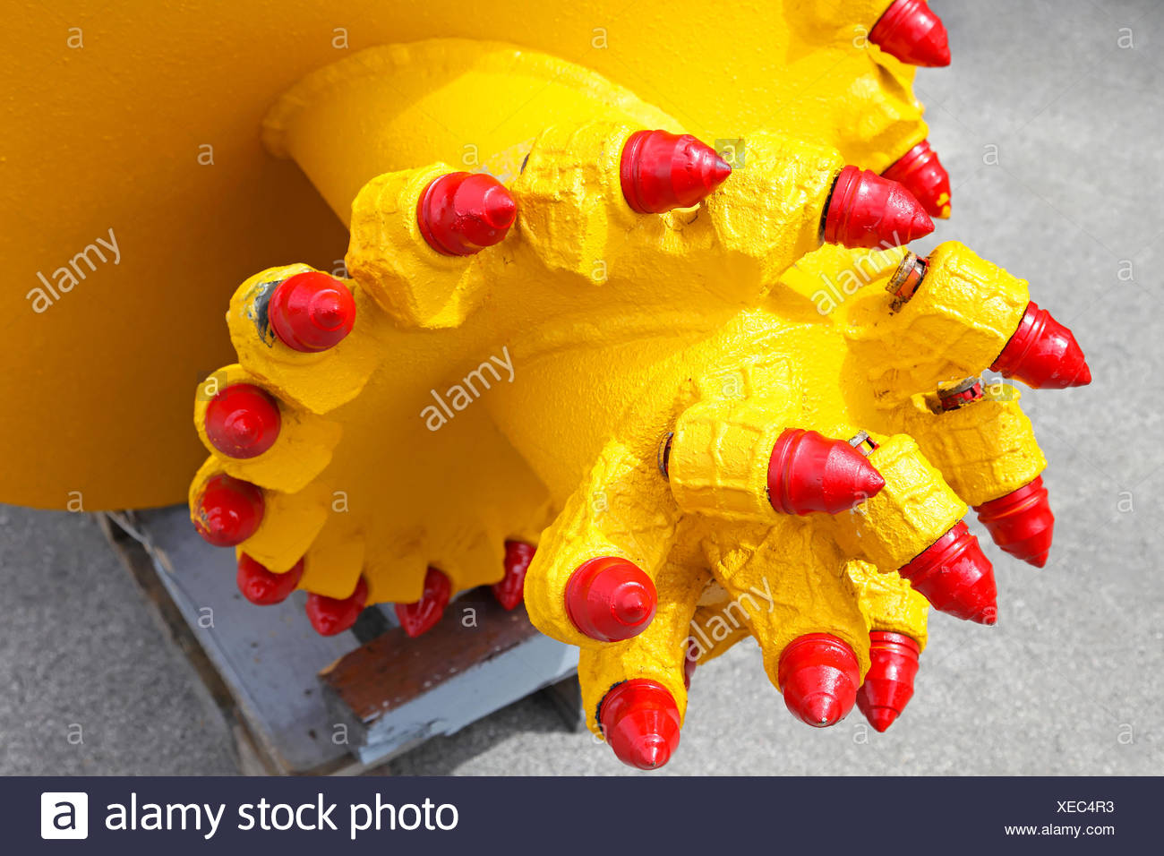 Mole Head High Resolution Stock Photography and Images Alamy