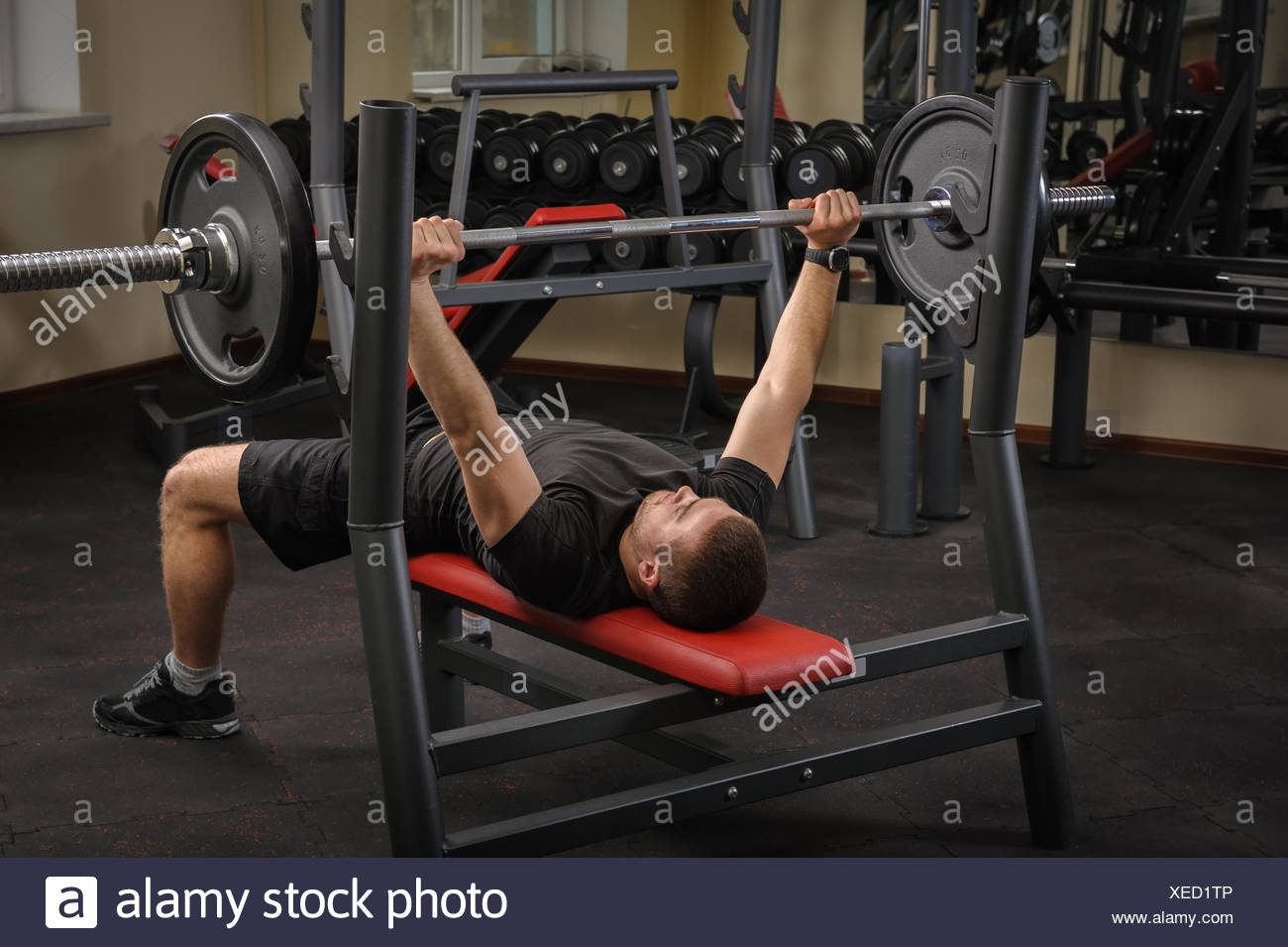 Young Man Doing Bench Press Workout In Gym Stock Photo 284257926
