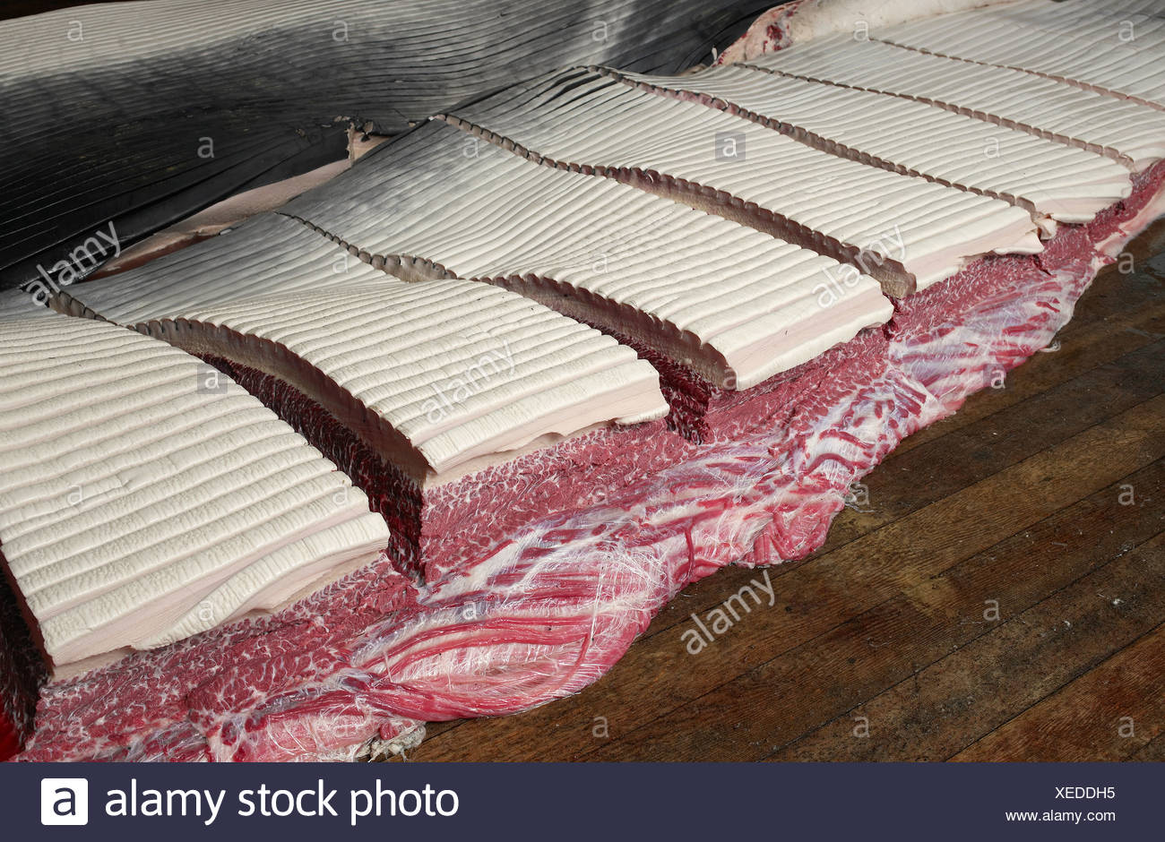 Whale Blubber Stock Photos &amp; Whale Blubber Stock Images - Alamy