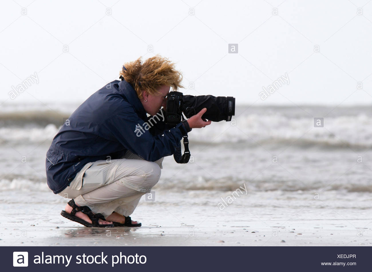 female nature photographer in action, USA, Florida, Sanibel Island Stock  Photo - Alamy