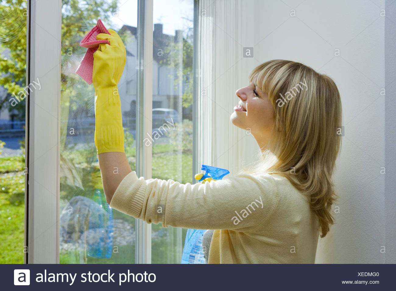 20 30 Jahre Fenster Fensterputzen Fensterscheiben Freizeitkleidung Glasreiniger Gruendlichkeit Gummihandschuhe Handschuh Stock Photo Alamy