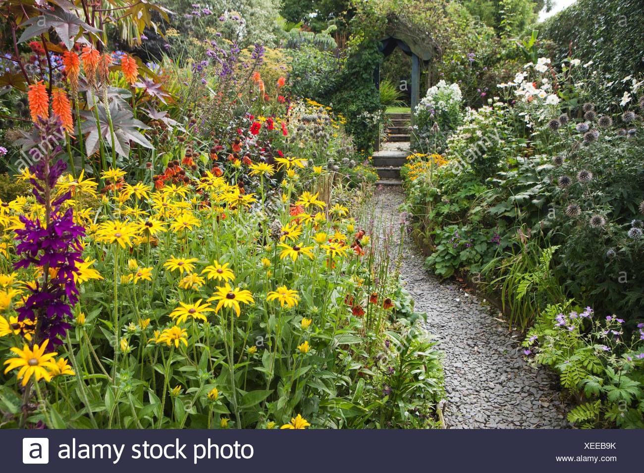 Poppy Cottage Garden On Roseland Peninsula In Cornwall Stock Photo