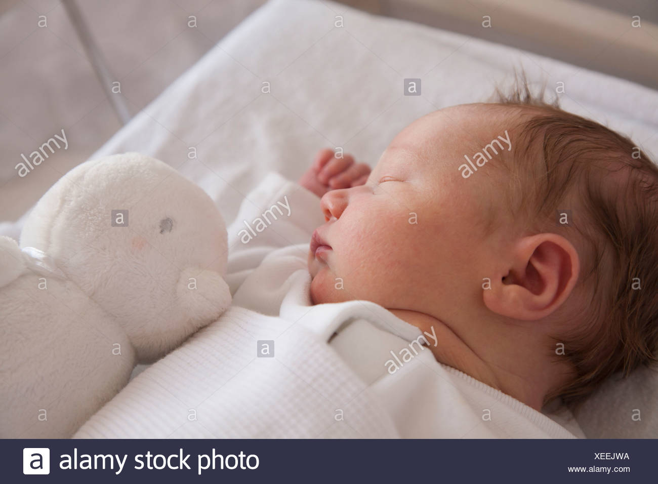 A new born baby lying on her back, sleeping. A toy in his cot. Stock Photo