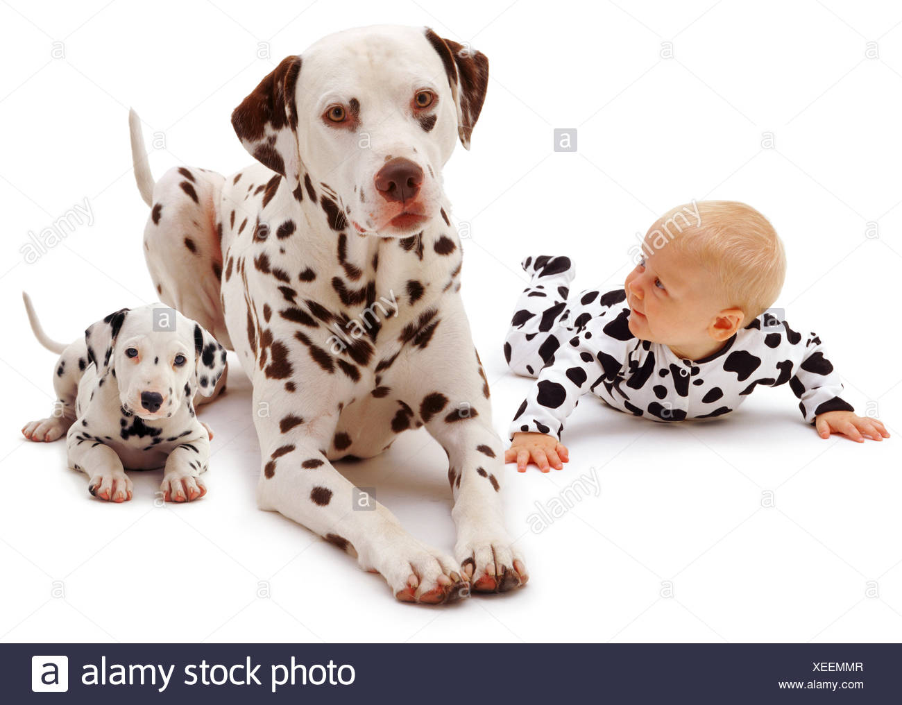 dalmatian baby clothes