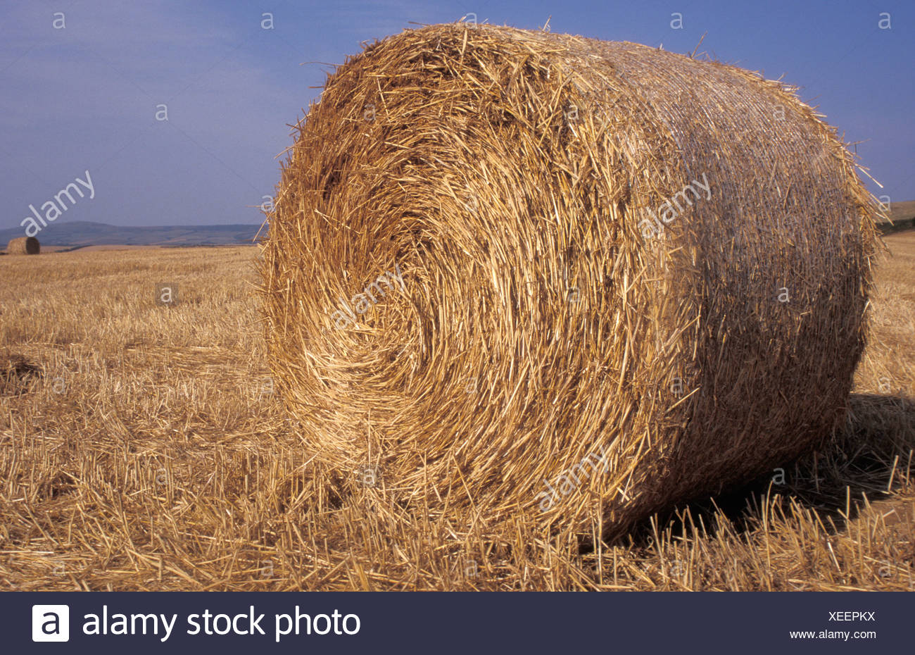 Shorwell High Resolution Stock Photography and Images Alamy