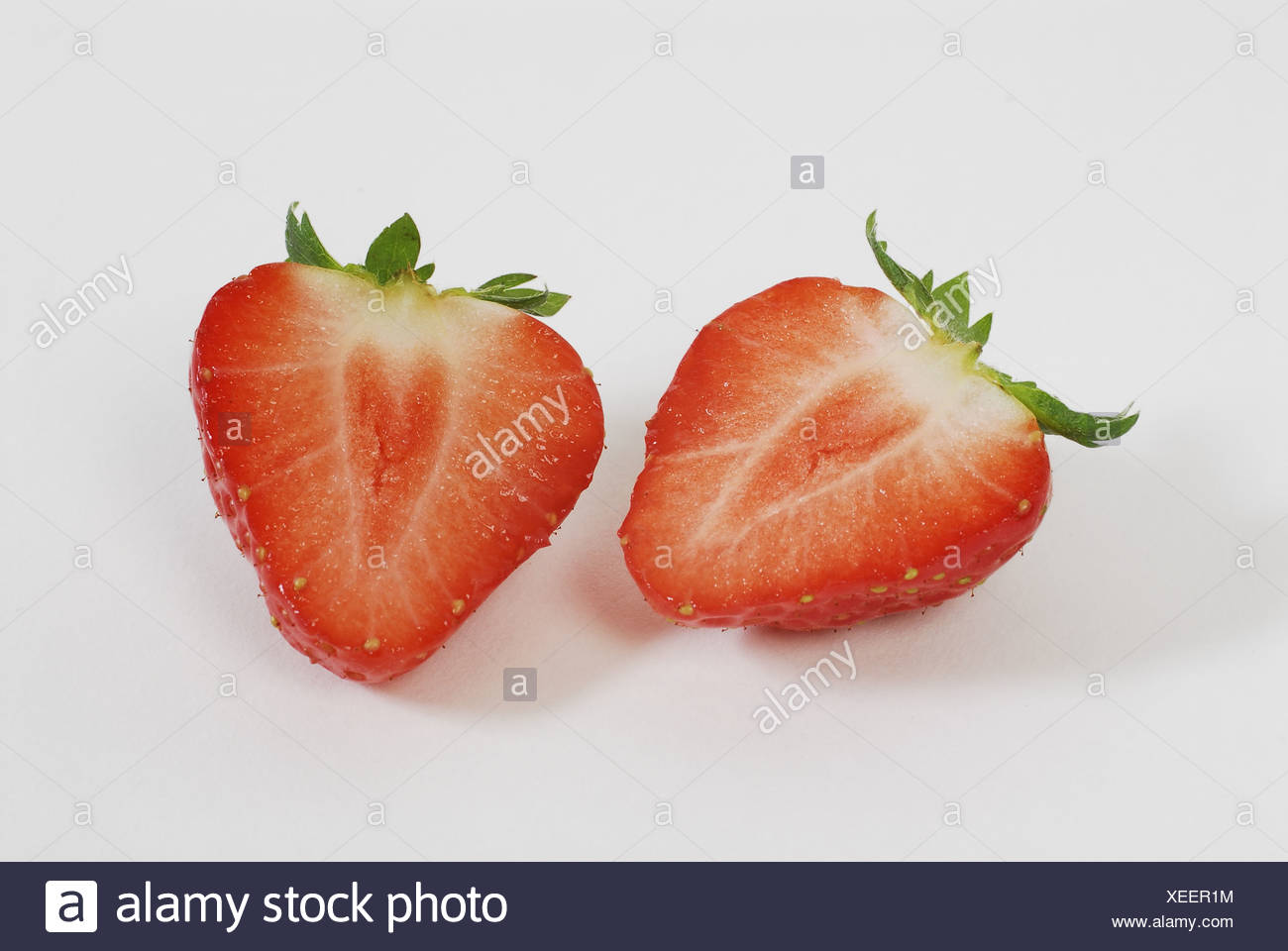 Strawberry Fragaria Precision Cuted Stock Photo Alamy Strawberry Fragaria Precision Cuted Stock Photo Alamy