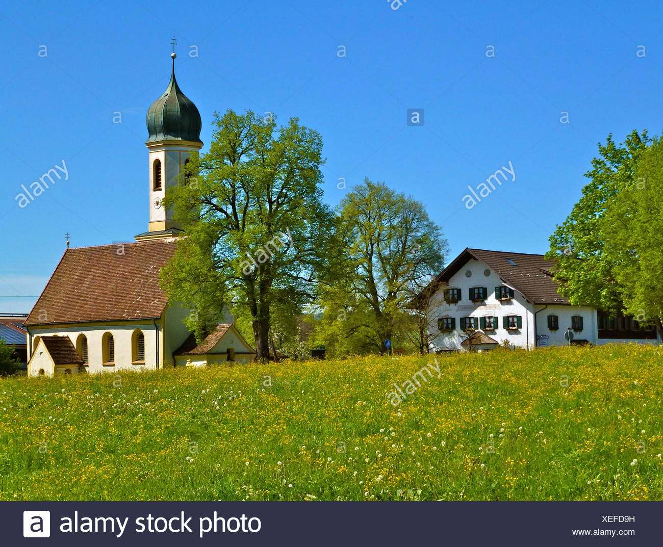 Germany Bavaria Froschhausen Am Riegsee Lake St Leonhard Church Pension St Leonhard Guesthouse Meadow Trees Blue Heaven Spring Stock Photo Alamy