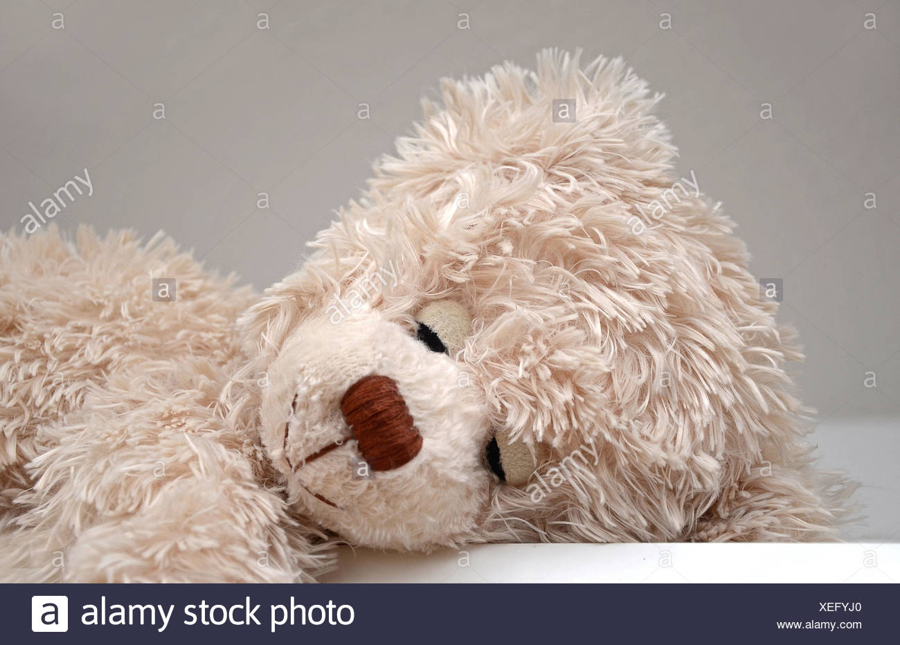 sleeping teddy
