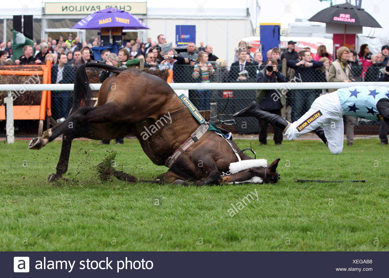 Fallen Horse Rider High Resolution Stock Photography and Images Alamy