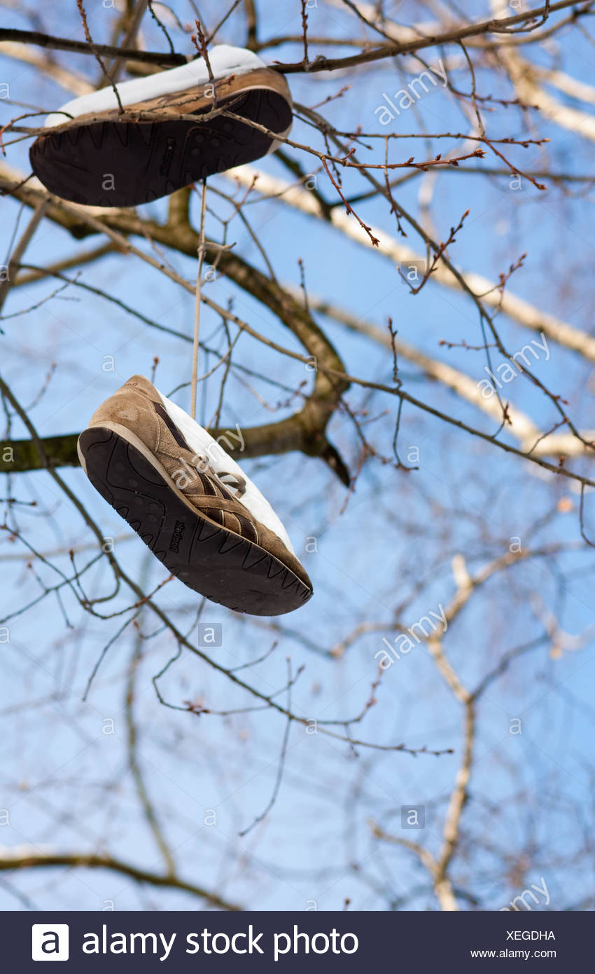 Shoes Hanging From Tree Stock Photos & Shoes Hanging From Tree Stock