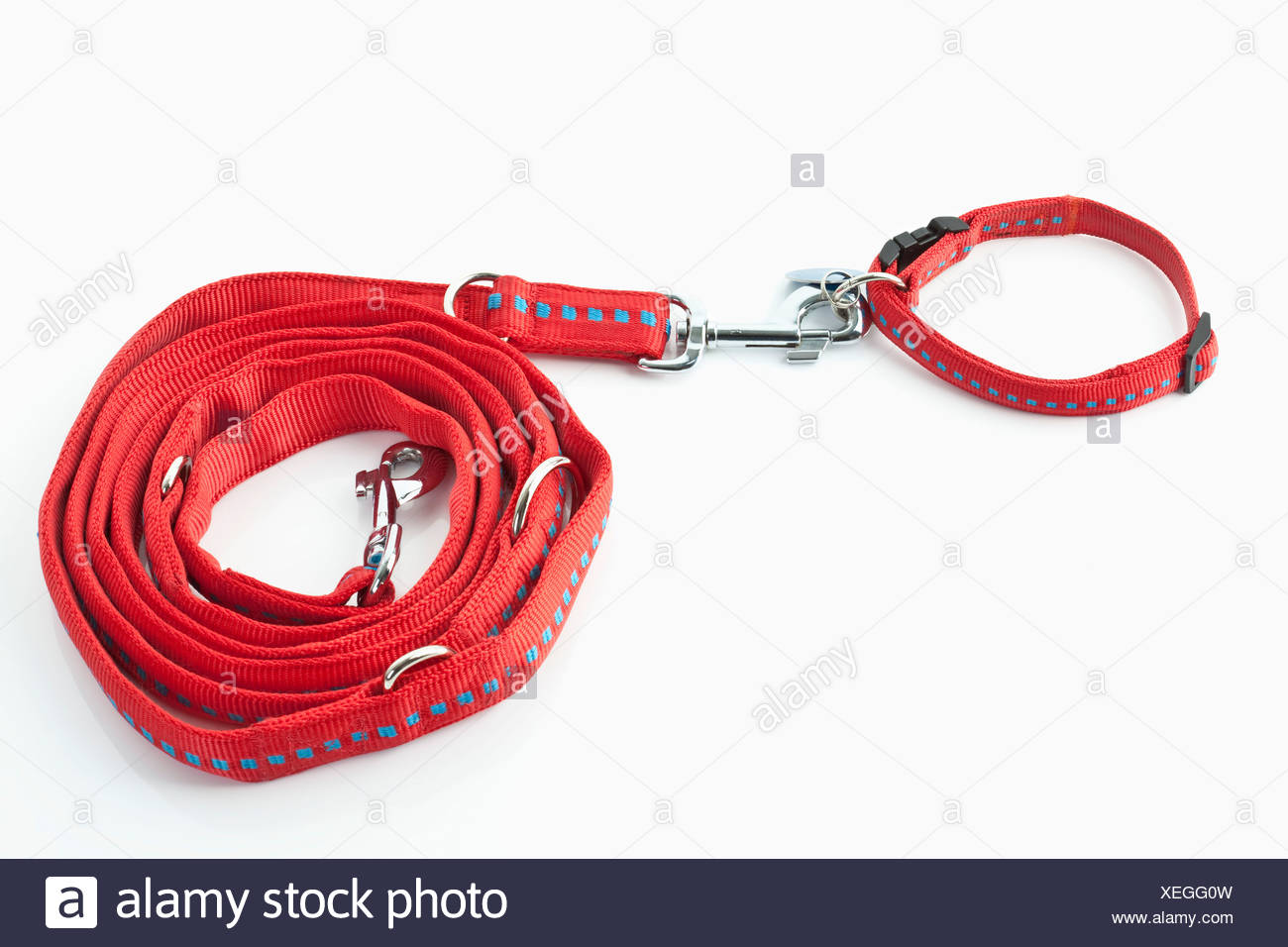 Dog Leash High Resolution Stock Photography and Images - Alamy