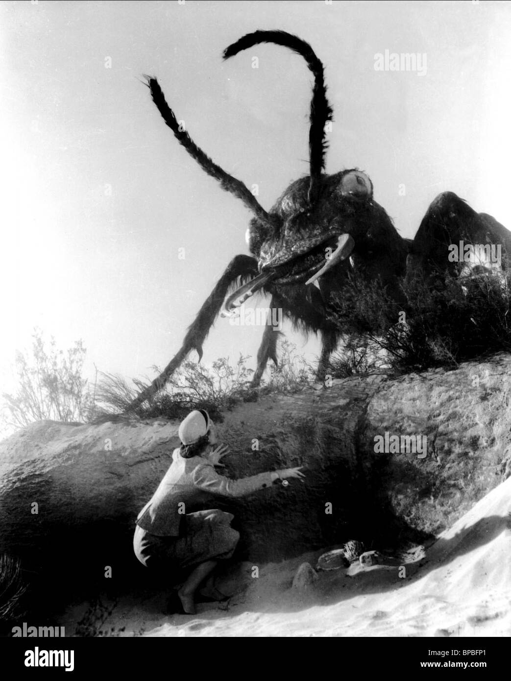 Joan Weldon Black and White Stock Photos & Images Alamy