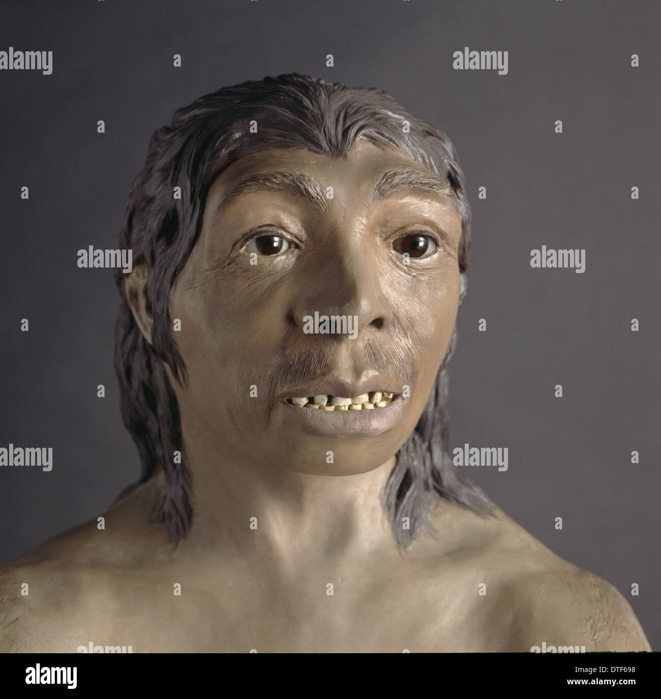 homo-neanderthalensis-neanderthal-woman-tabun-c1-dtf698.jpg