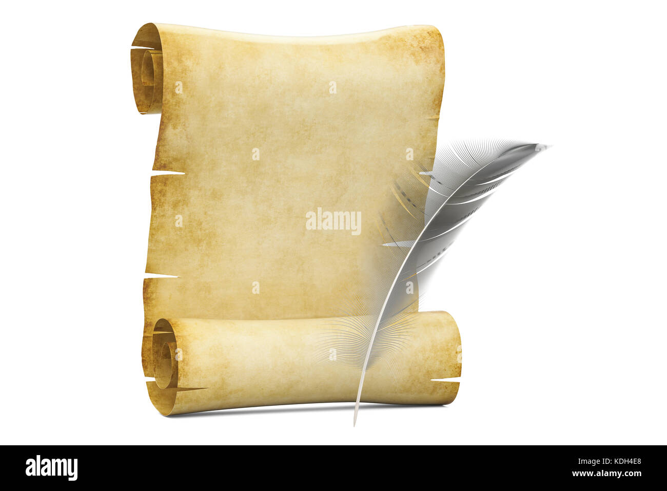 Blank roll of papyrus with feather, 3D rendering isolated on white ...