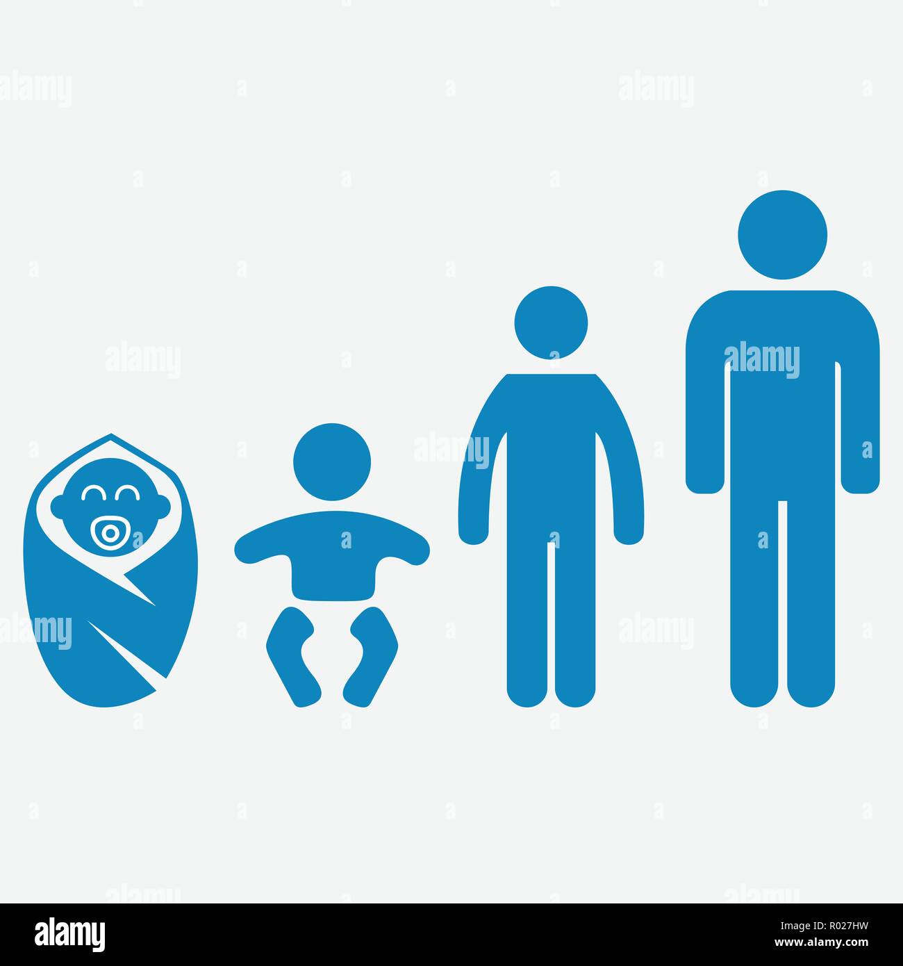 Stages From Baby To Adult