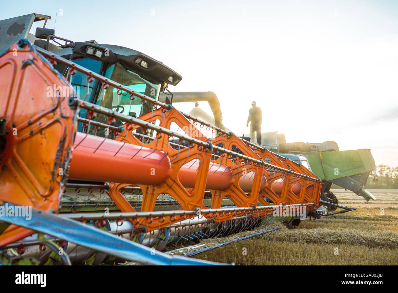 Vor dem Hintergrund eines sonnigen Sommertag und blauer Himmel mit Wolken. Mähdrescher ernten Reif goldene Weizen auf dem Feld. Das Bild der Stockfoto