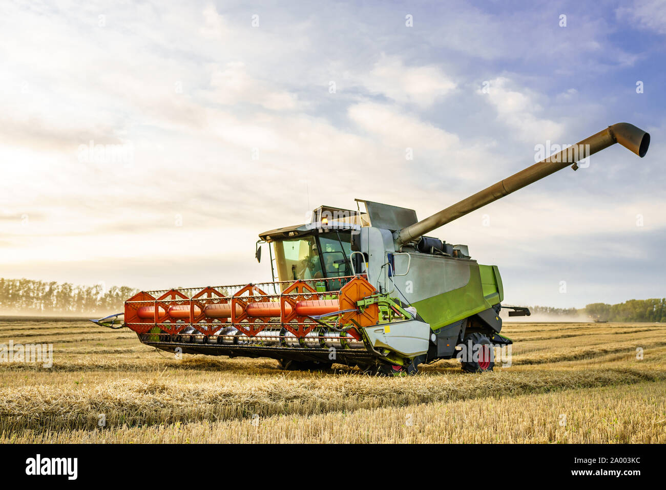 Vor dem Hintergrund eines sonnigen Sommertag und blauer Himmel mit Wolken. Mähdrescher ernten Reif goldene Weizen auf dem Feld. Das Bild der Stockfoto