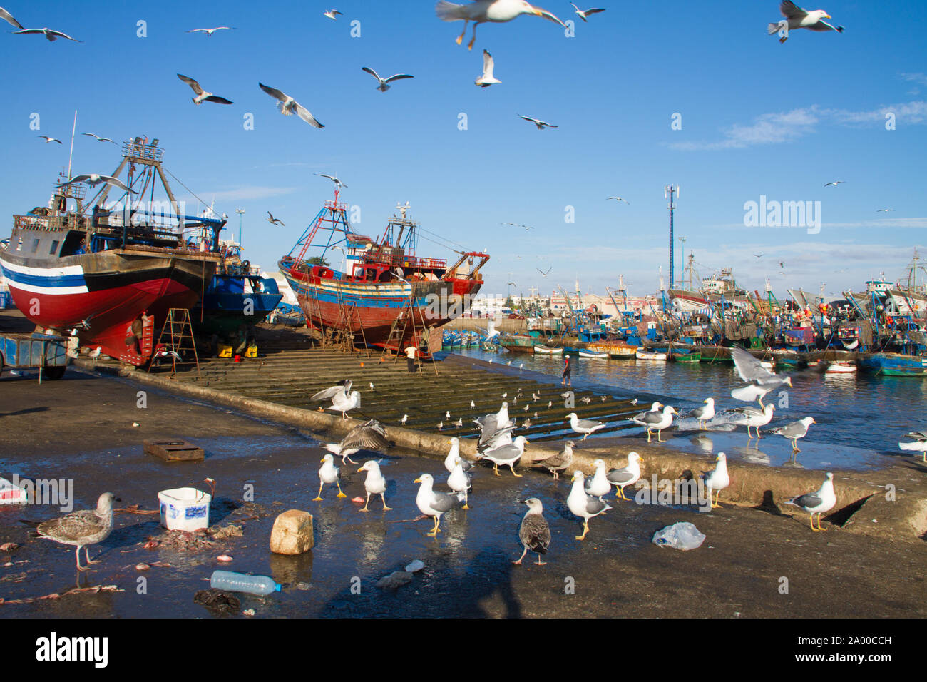 Herden von Möwen über Essaouira Fischereihafen, Marokko fliegen. Fischerboot im Hafen von Essaouira angedockt wartet auf eine vollständige Reparatur mit einem Bootshaken Stockfoto