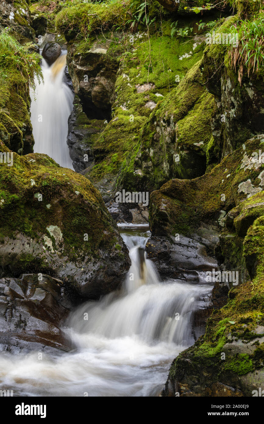 Cordorcan brennen Wasserfälle in den Wald von Cree Nature Reserve, Newton Stewart, Dumfries und Galloway, Schottland Stockfoto