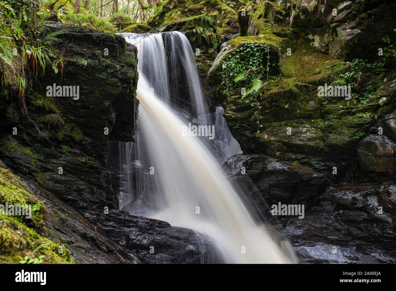 Cordorcan brennen Wasserfälle in den Wald von Cree Nature Reserve, Newton Stewart, Dumfries und Galloway, Schottland Stockfoto