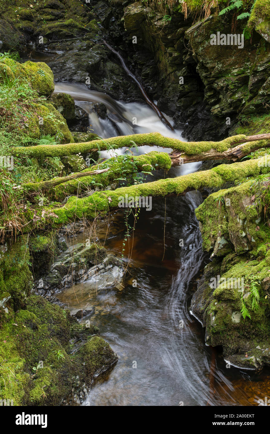 Cordorcan brennen Wasserfälle in den Wald von Cree Nature Reserve, Newton Stewart, Dumfries und Galloway, Schottland Stockfoto