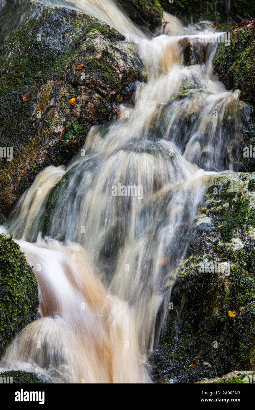 Cordorcan brennen Wasserfälle in den Wald von Cree Nature Reserve, Newton Stewart, Dumfries und Galloway, Schottland Stockfoto