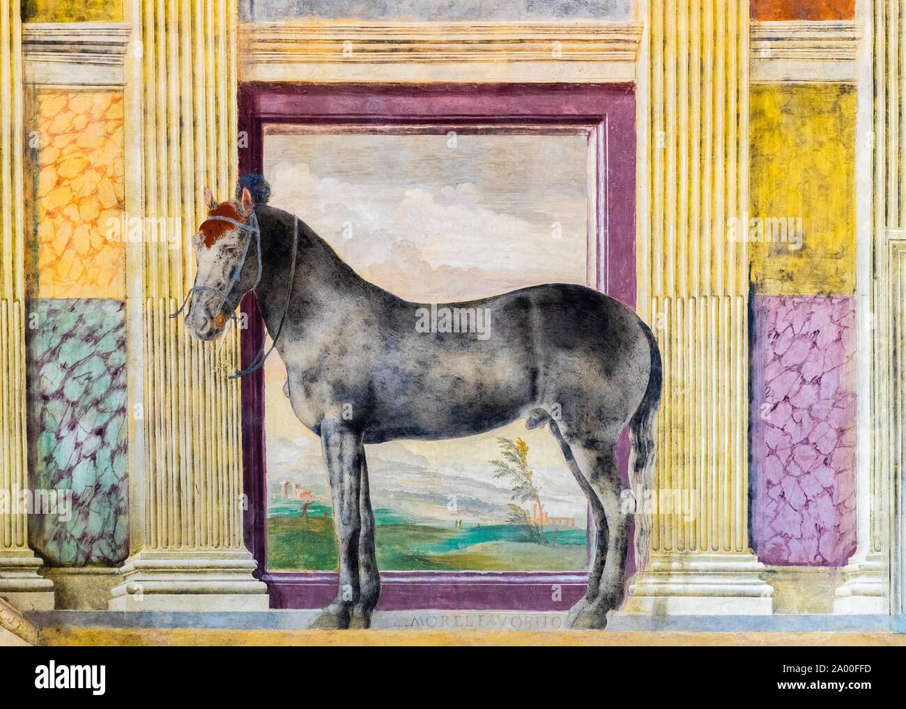 Graues Pferd, Pferd in der Sala dei Cavalli, Halle der Pferde, Fresko von Giulio Romano, pleasure palace Palazzo Te, Mantua, Lombardei, Italien Stockfoto