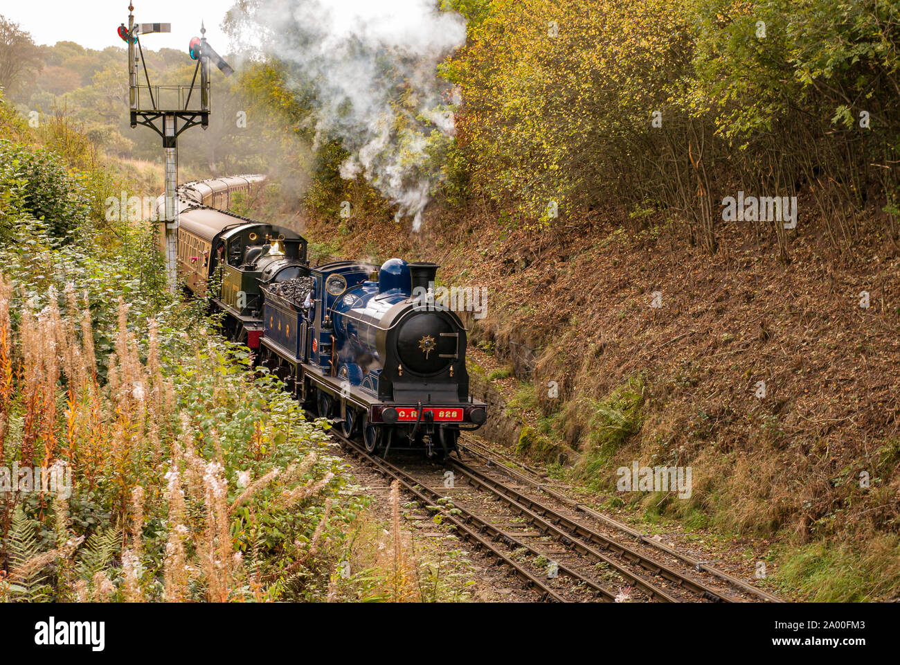 Dampfzüge im Tandem (einer zieht den anderen) mit Personenwagen auf der Severn Valley Railway in Shropshire. Stockfoto