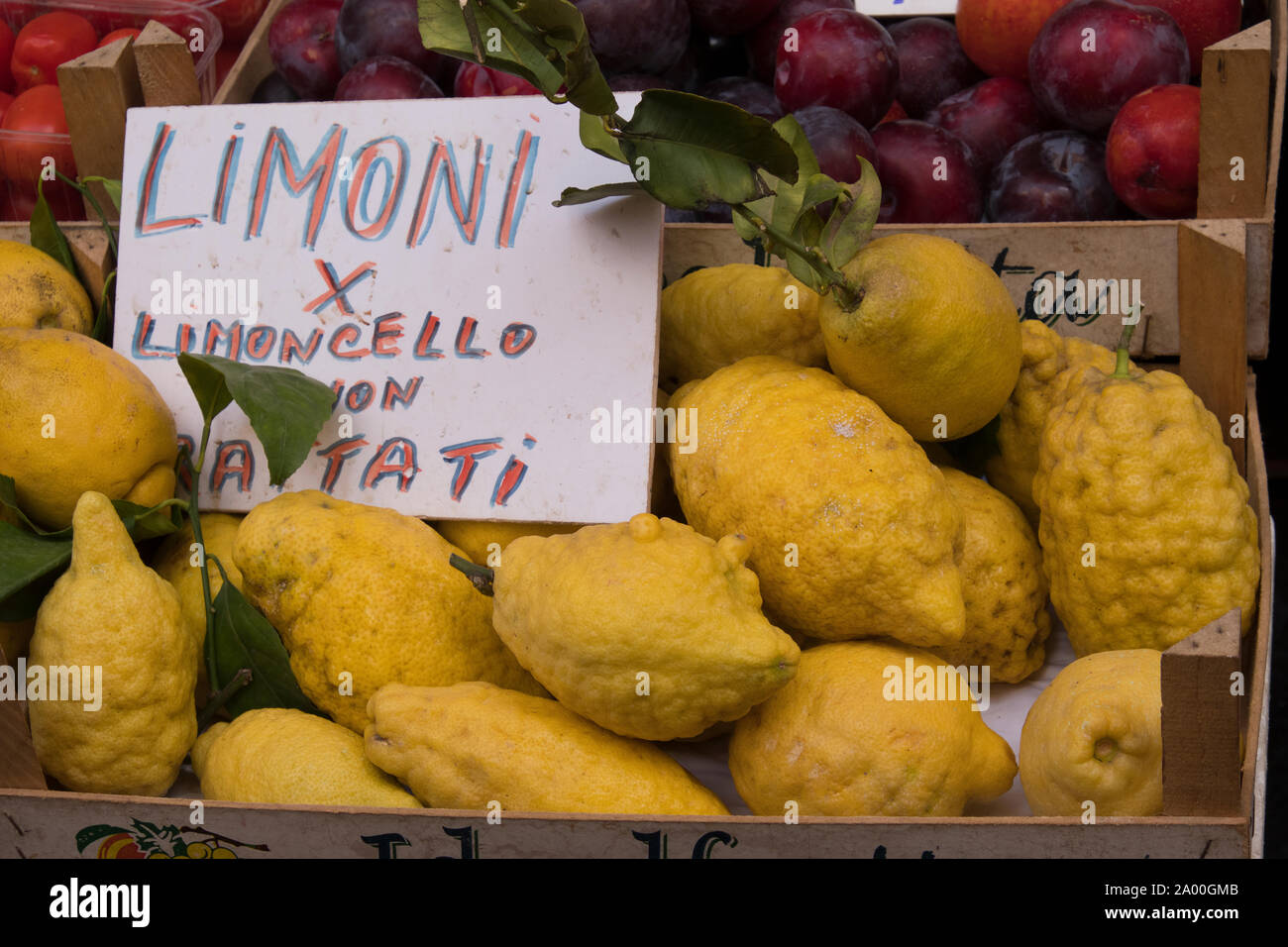 Box von frischem große Zitronen von Sorrent in Italien Stockfoto