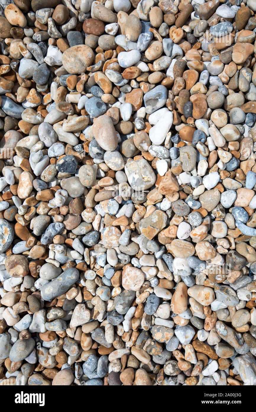 Schindel am Kiesstrand in Dungeness in Kent, Großbritannien Stockfoto