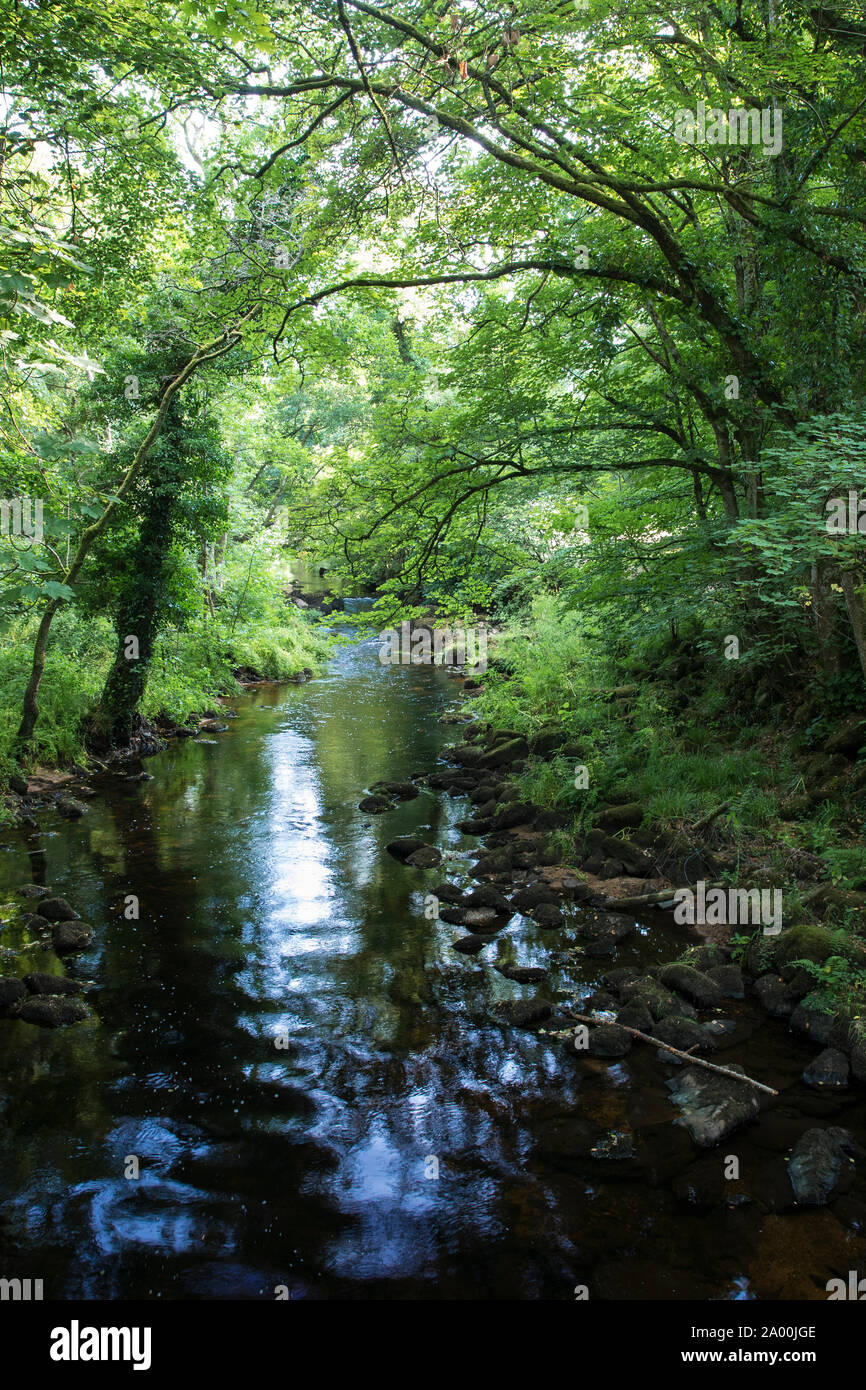 Fluss Teign in der Nähe von Chagford in Dartmoor in Devon, Großbritannien Stockfoto