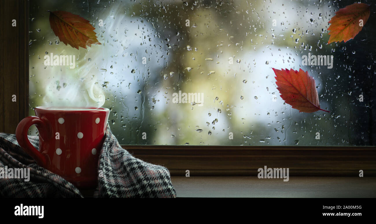 Herbst Hintergrund, rote Tasse mit heißem Getränk und nassen herbstliche Fenster Stockfoto