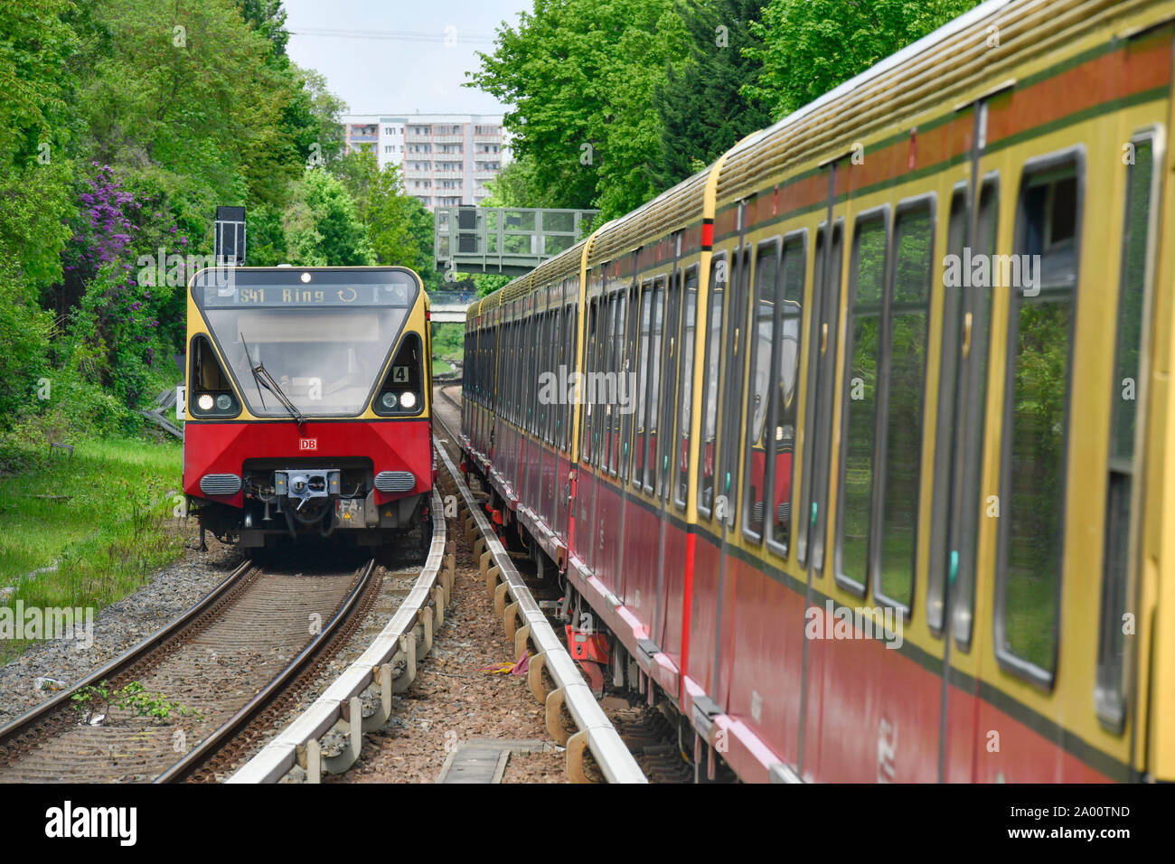 Ringbahn S41 und S42, S-Bahn, Friedrichshain, Berlin, Deutschland Stockfoto