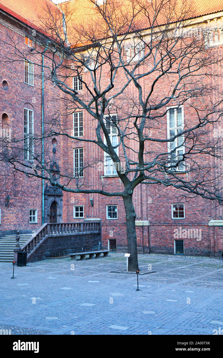 Baum im Innenhof des Stadshuset (Rathaus), Kungsholmen, Stockholm, Schweden Stockfoto