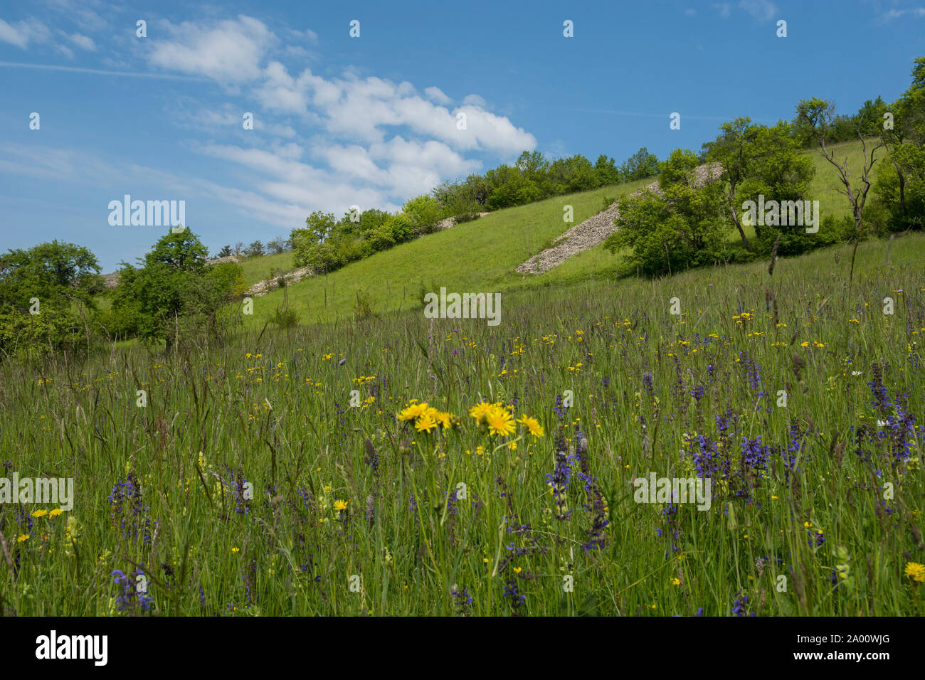 Landschaft mit Stein Bar, Kochertal, Künzelsau, Hohenlohe, baden-württemberg, Heilbronn - Franken, Deutschland, K Stockfoto