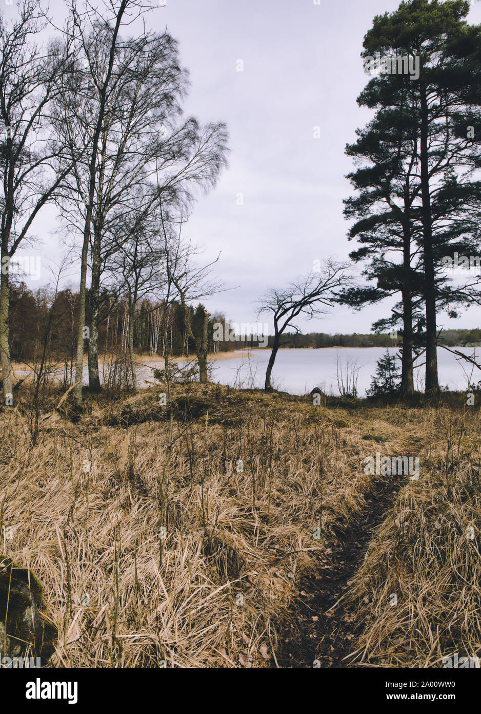 Schmale Wanderweg durch den Wald in Richtung gefrorenen See, Bjorno Nature Reserve (Bjorno Naturreservat), Stockholmer Schären, Schweden Stockfoto