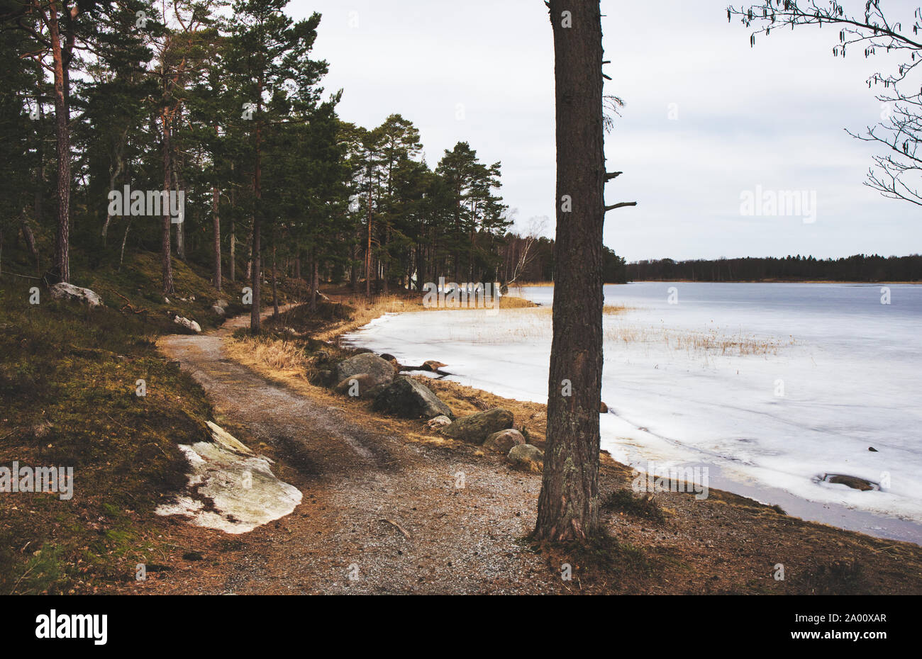 Anschluss zwischen Wald und See, Naturschutzgebiet (Bjorno Bjorno Naturreservat), Stockholmer Schären, Schweden Stockfoto