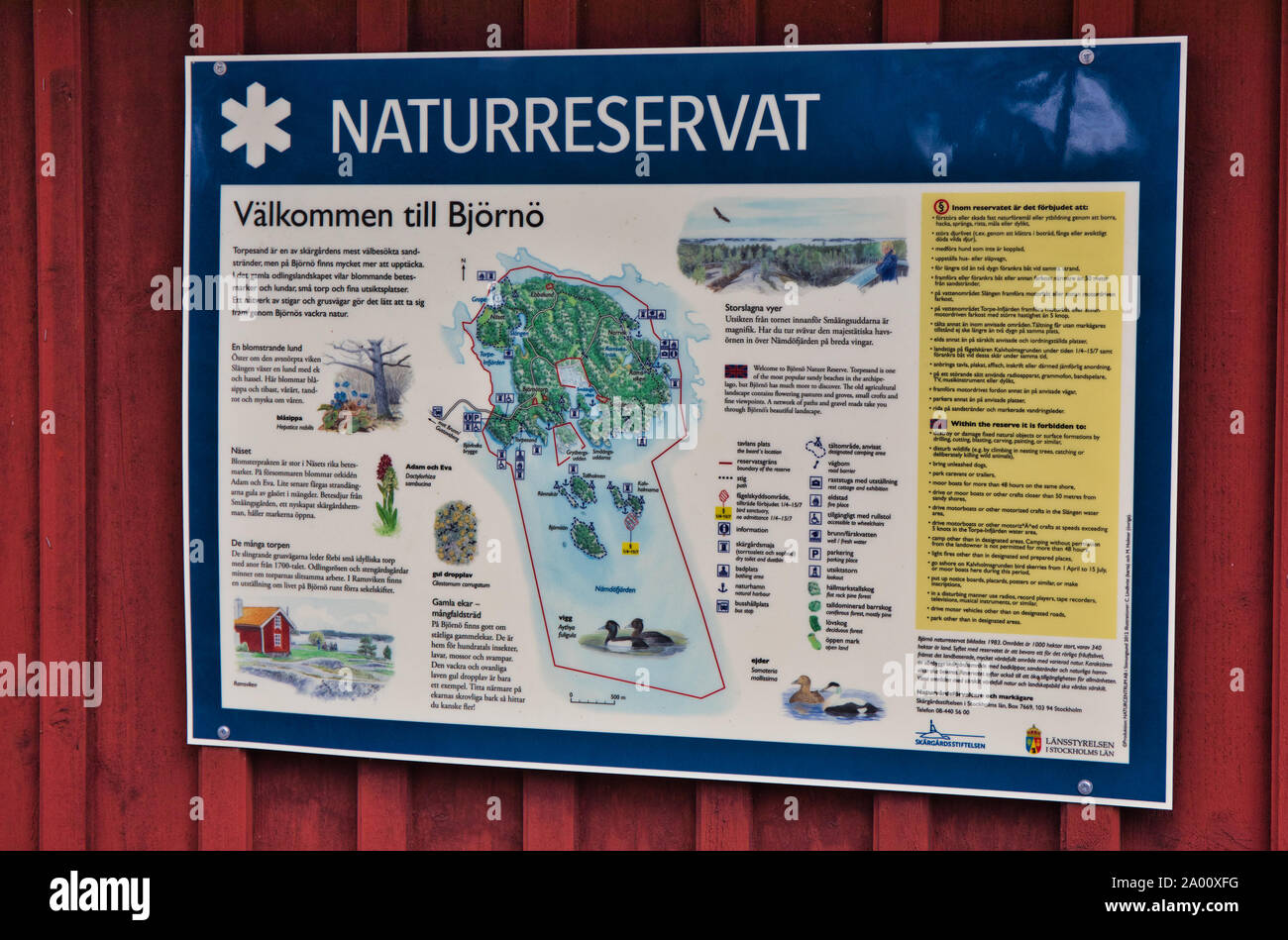 Nahaufnahme des Information Board in Schwedisch und Englisch, Bjorno Nature Reserve (Bjorno Naturreservat), Stockholmer Schären, Schweden Stockfoto