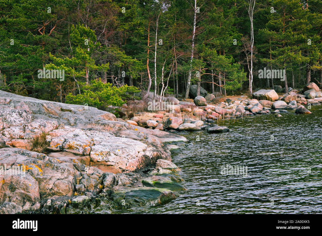 Farbige Felsen und Geröll und Wald an der Ostsee, Bjorno Bjorno Nature Reserve (Naturreservat), Stockholmer Schären, Schweden Stockfoto