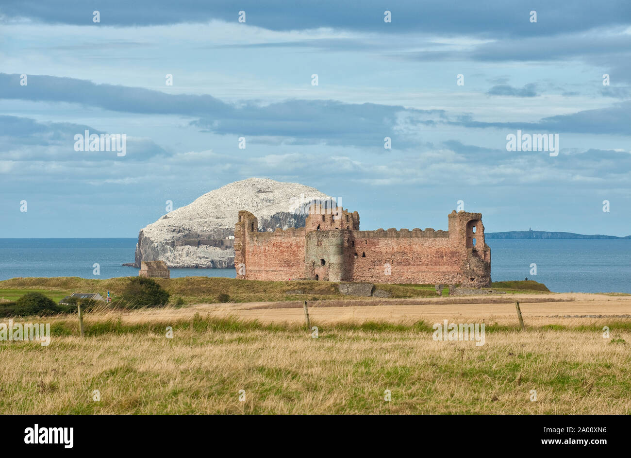 Tantallon Castle und Bass Rock. East Lothian, Schottland Stockfoto